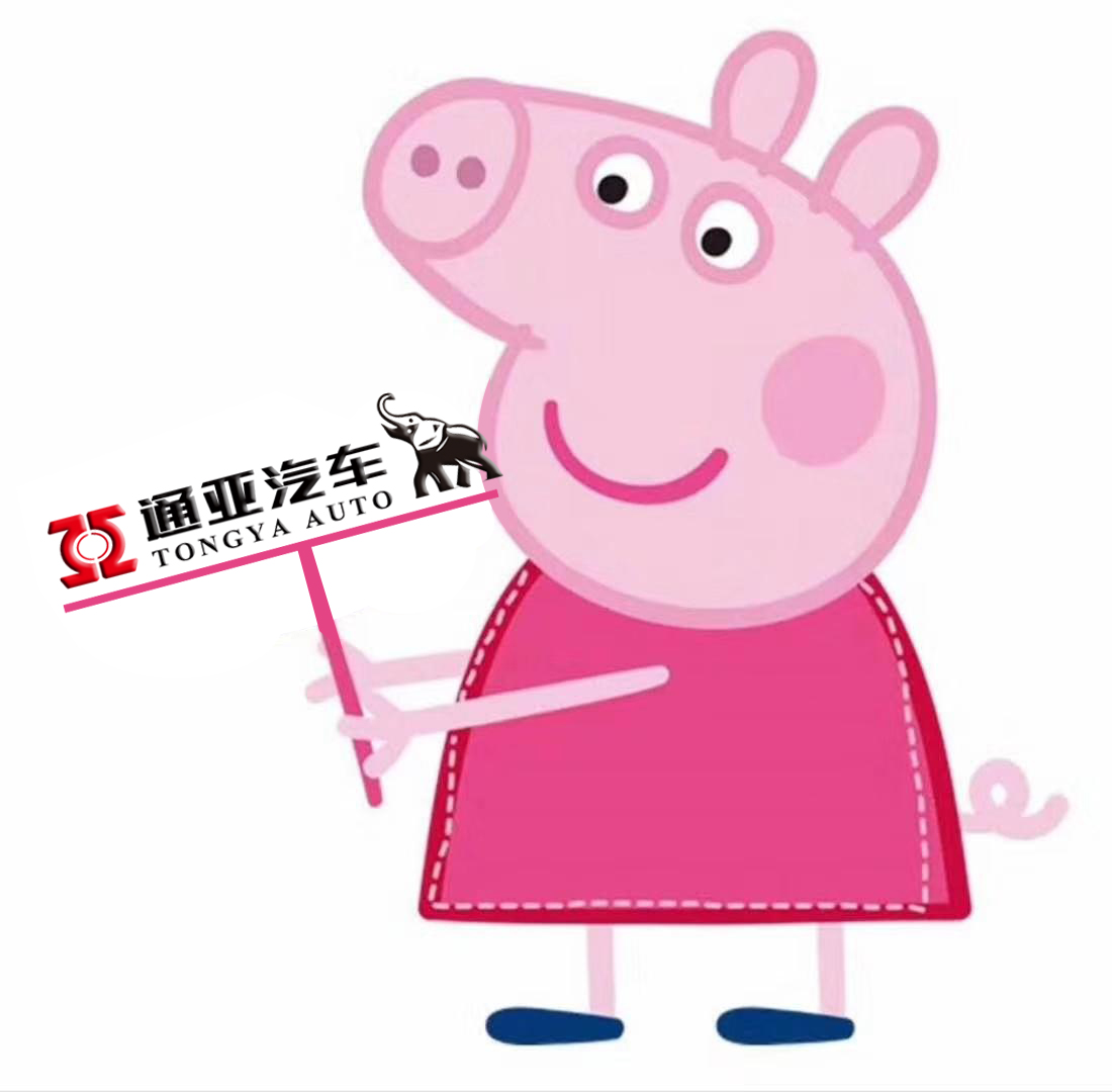 通亞汽車-打造您心中的PeiQi